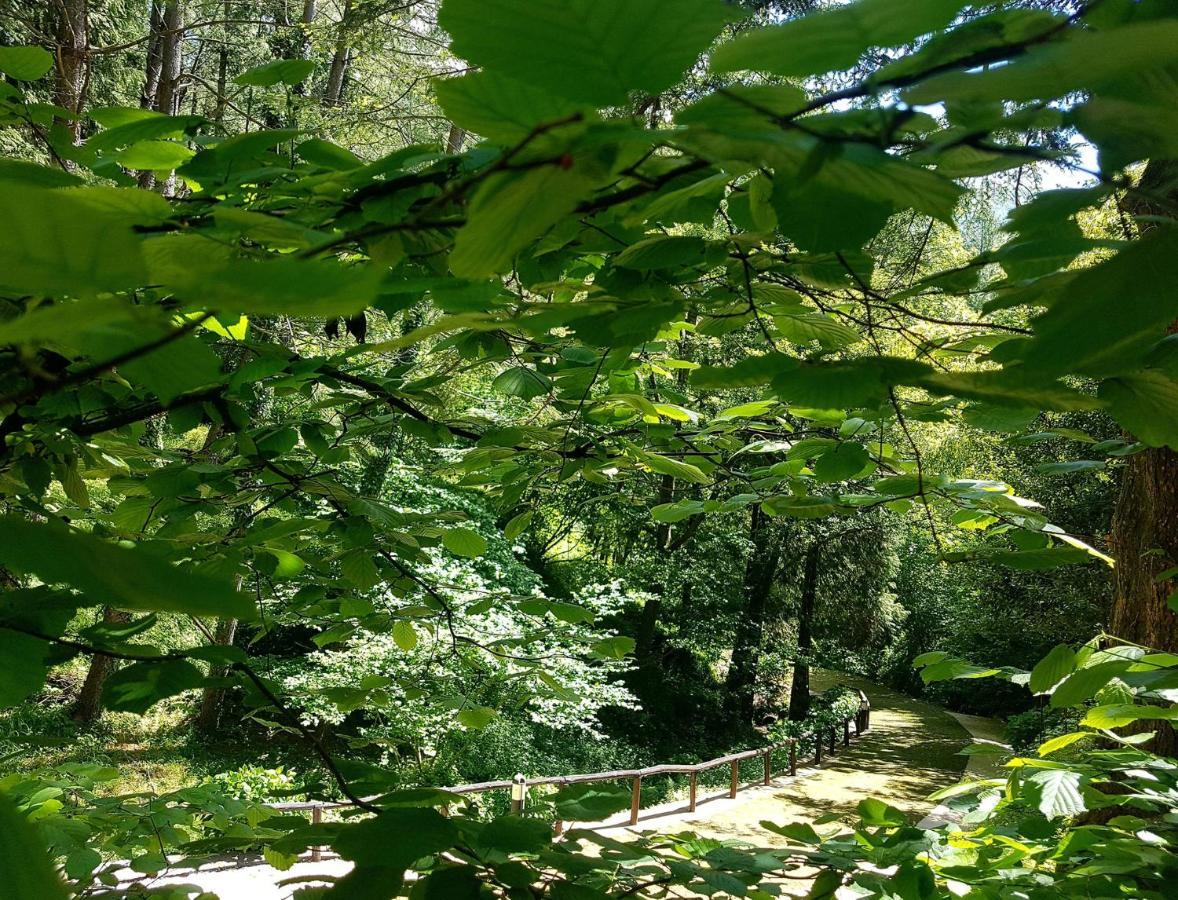 Il Bosco Di Campo Marzano Garden Apartments Borzonasca Exterior foto